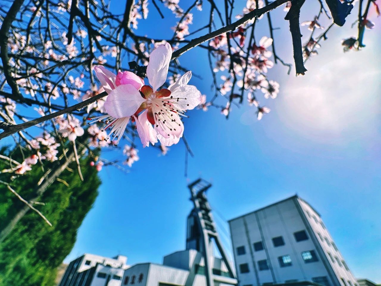 寺家庄煤业风景