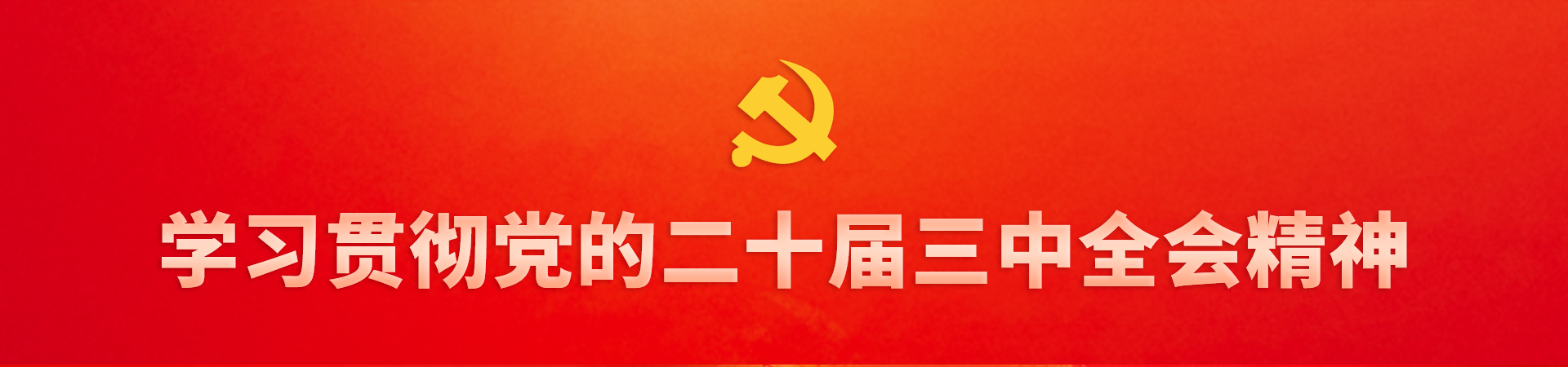 学习贯彻党的二十届三中全会精神